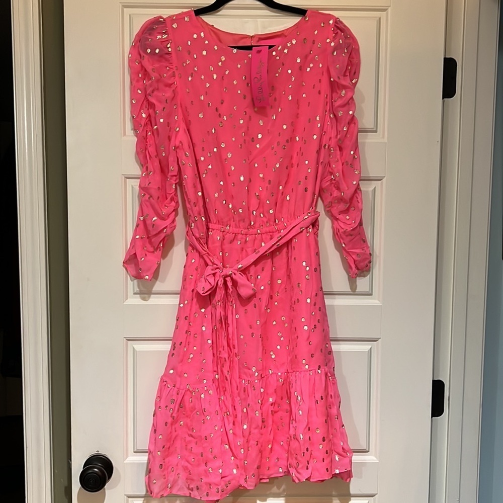 Chianna Silk Coral Sands Gold Metallic Clip Dress 16 NWT pink coral new RARE